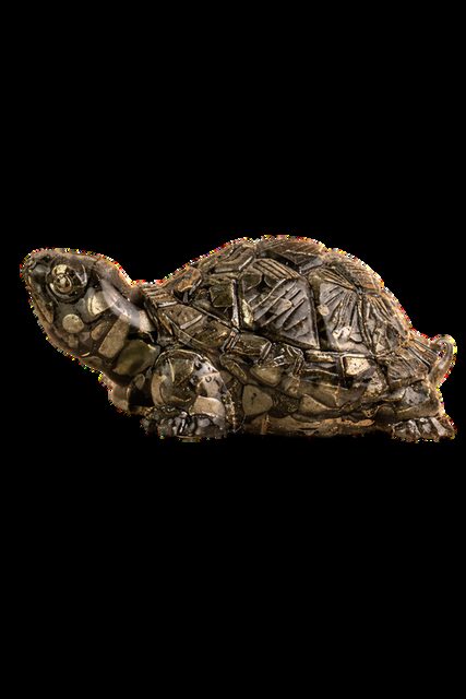 Pyrite Turtle